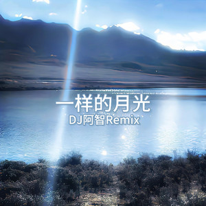 特大黑人巨大XXXXXXX
