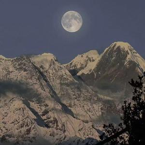 特大黑人巨大XXXXXXX
